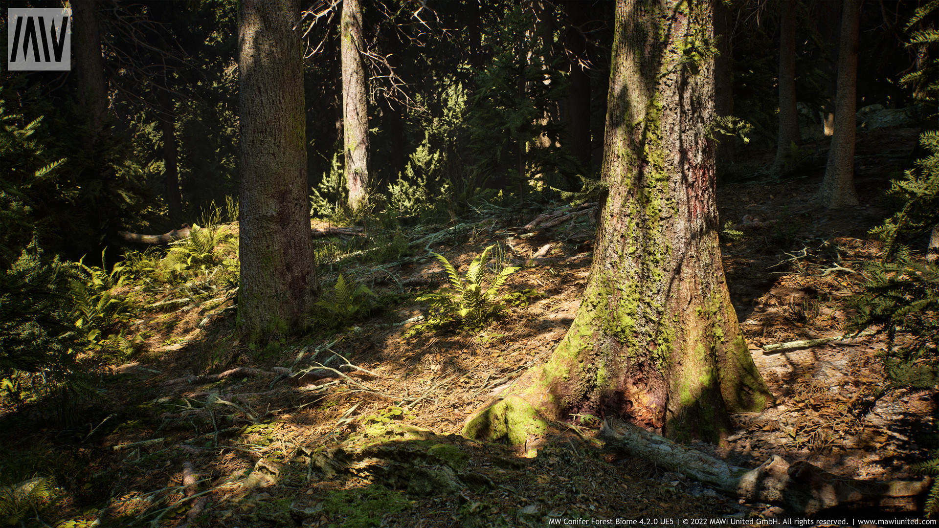 MW Conifer Trees Forest Biome v4.2.5 UE5.2