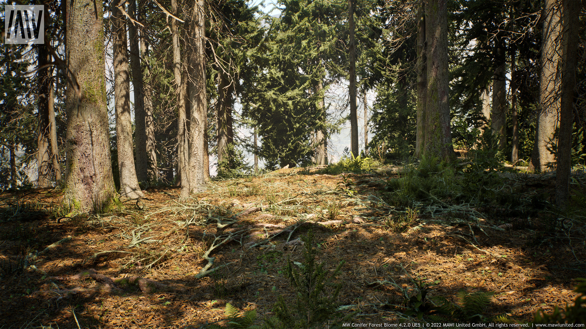 MW Conifer Trees Forest Biome v4.2.5 UE5.2 - Ảnh 2