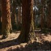 MW Redwood Tree Forest Biome V4.1.0