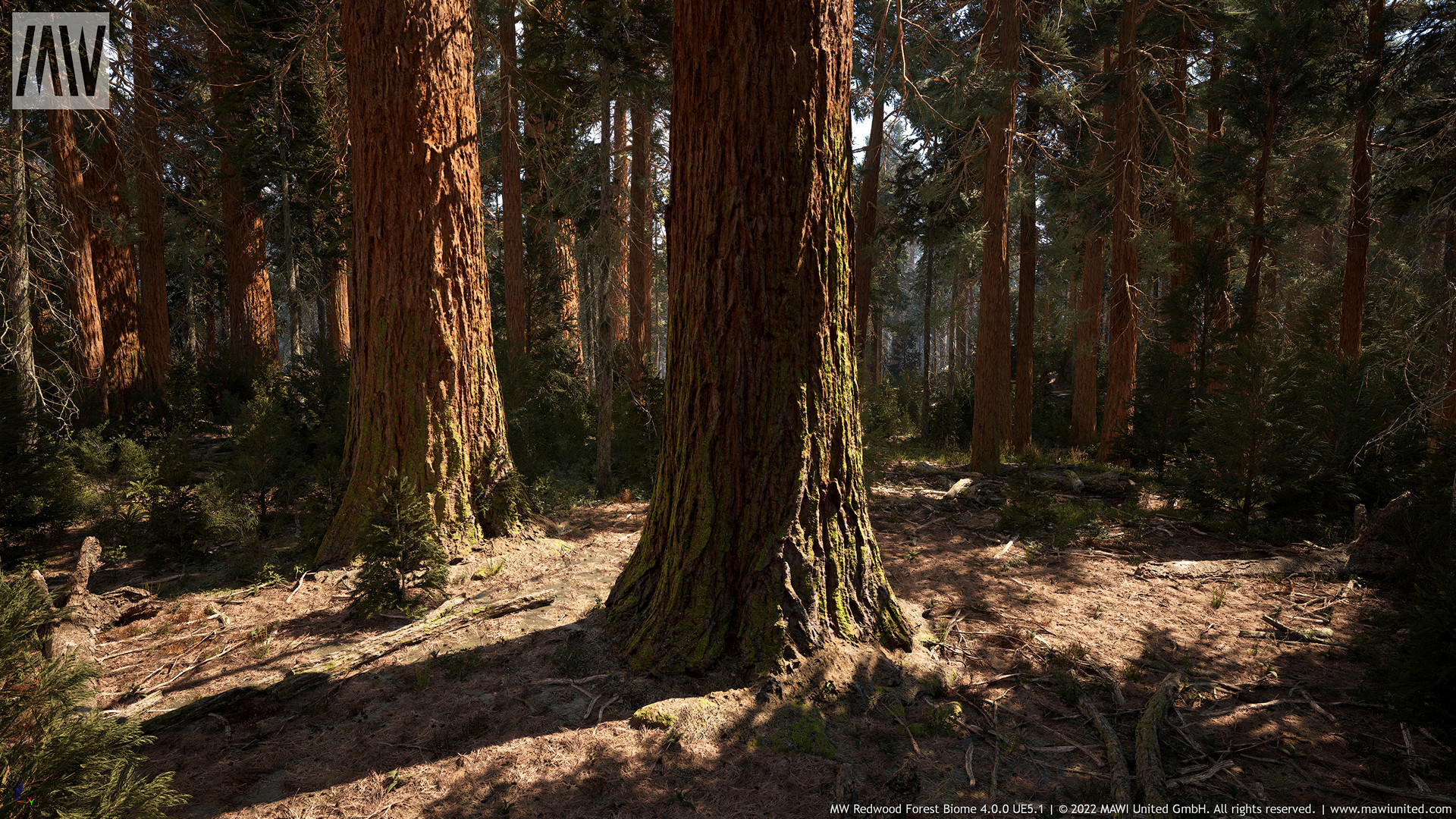 MW Redwood Tree Forest Biome V4.1.0