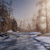Snow Forest