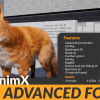 AnimX: Advanced Foxes