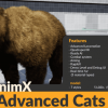 AnimX: Advanced Bears