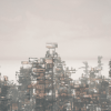 Future Container slums