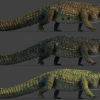 Realistic Crocodile