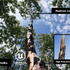 Tree and Forest Pack 01