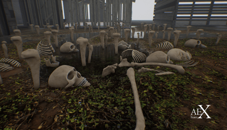 Skull Package