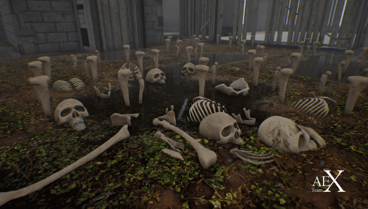 Skull Package - Ảnh 2