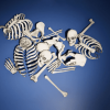 Skulls and Bones