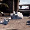 Skulls & Bones Pro