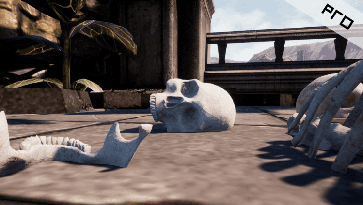 Skulls & Bones Pro