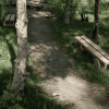 Tree and Forest Pack 03