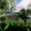 Realistic forest vegetation lowpoly
