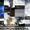 Essential Niagara Environmental VFX