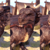 Dragons Pack PBR