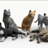 Cats Big Pack