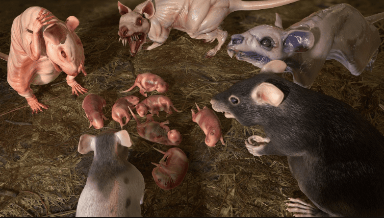 Rats Complete Pack - Ảnh 2