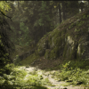 Nordic Conifer Biome