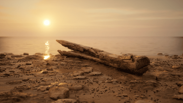 Brushify - Beach Pack V2 UPDATED - Ảnh 2