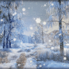 Winter Nature