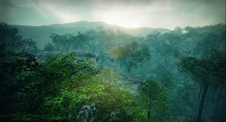 Tropical Forest