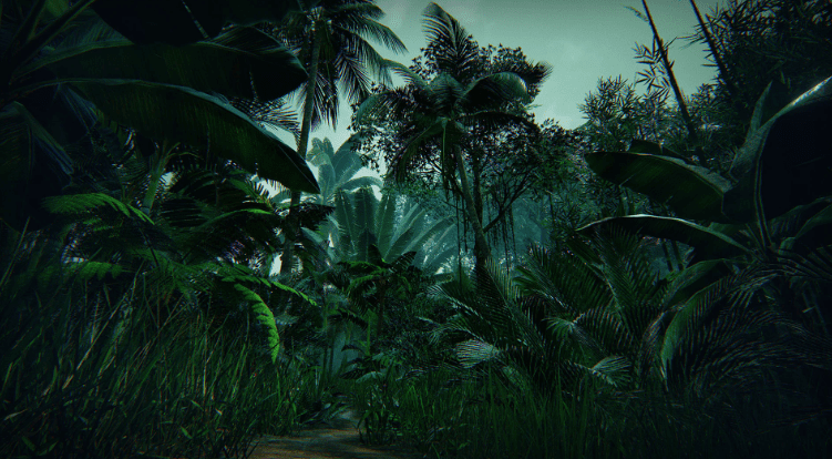 Tropical Forest - Ảnh 2