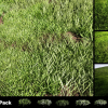 Realistic Grass Pack 01