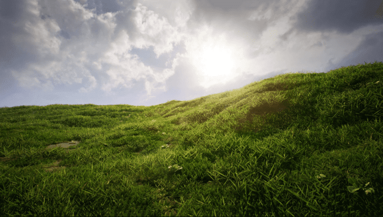Realistic Grass Pack 01 - Ảnh 2
