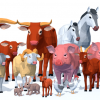 LowPoly Farm Animals
