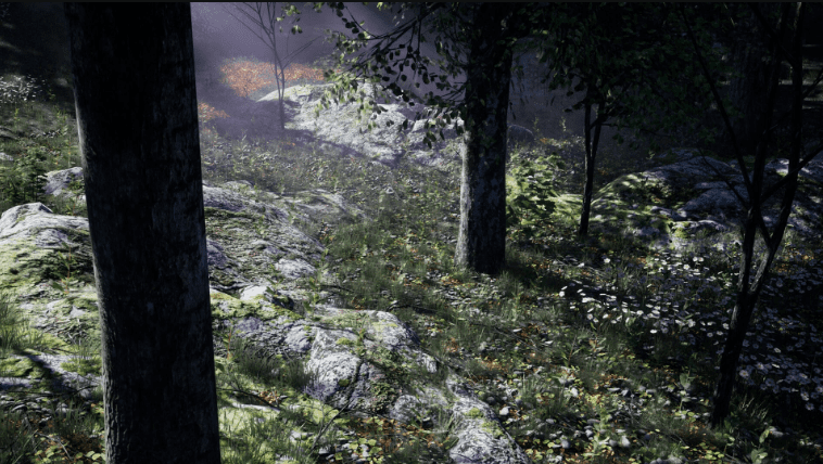 Shady Forest - Ảnh 2