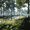 3D-Scanned, Photo-Realistic Forest Landscape Asset Pack Vol. 2