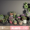 HQ Plants Vol. 6 ( Flowered Plants )