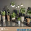 HQ Plants Vol.1 ( Interior Plants )