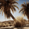 Desert Vegetation