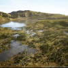 MW Meadow Wetlands Landscape v3.3.0 UE5