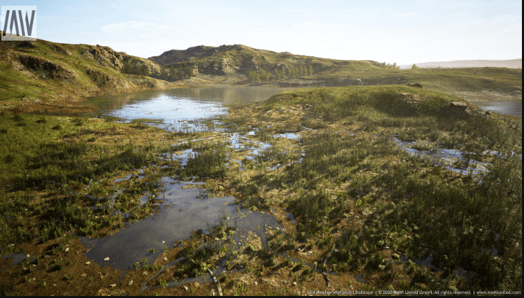 MW Meadow Wetlands Landscape v3.3.0 UE5