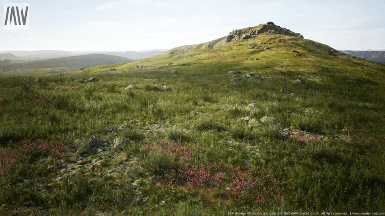MW Meadow Wetlands Landscape v3.3.0 UE5 - Ảnh 2