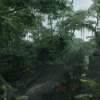 Tropical Jungle Pack