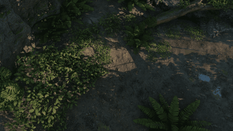 Tropical Jungle Pack - Ảnh 2