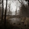 Procedural Forest UE5