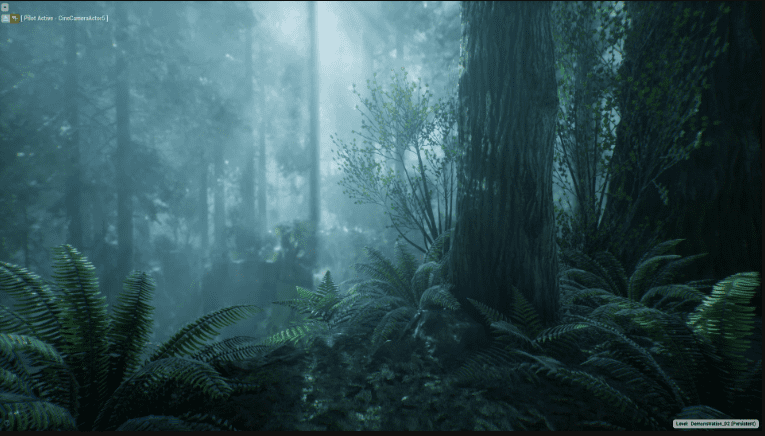 The Forest