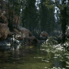 Bamboo Valley