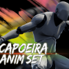 Capoeira Anim Set