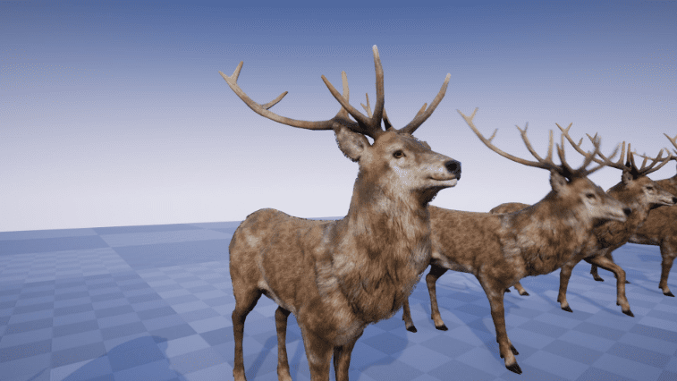 FOREST ANIMALS PACK - Ảnh 2