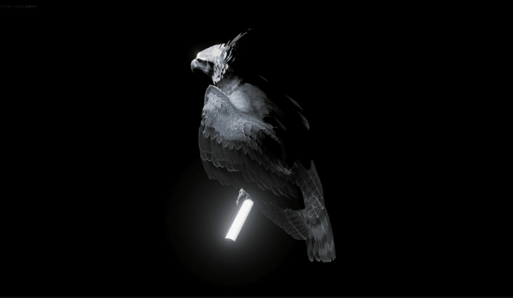 Complete Animals UE 4.26 ( OLD VERSION ) - Ảnh 2