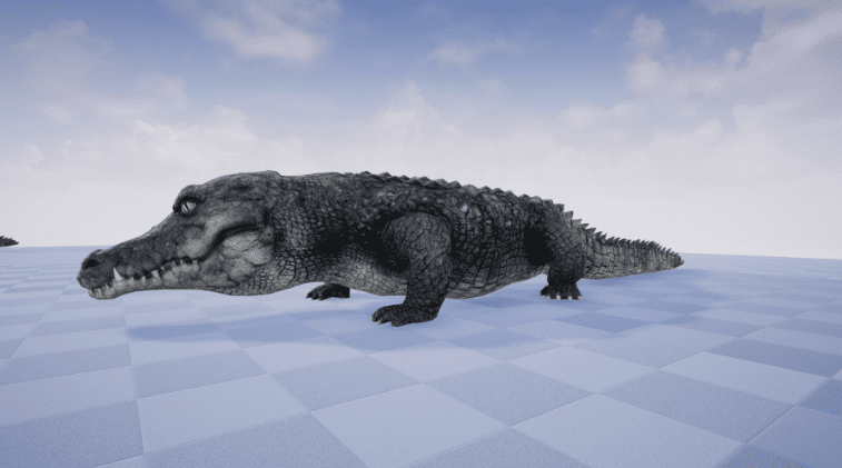 CROCODILE