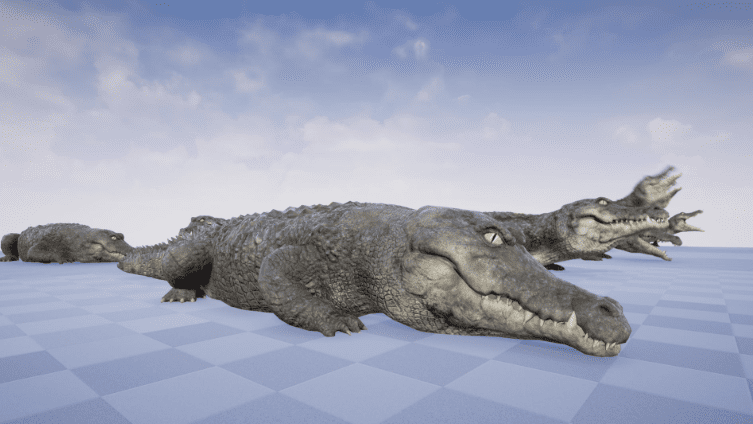 CROCODILE - Ảnh 2