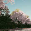 XBH TREE Vol.2