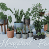 Houseplant Pack - Interior and Exterior Plants