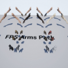 FPS Arms Pack